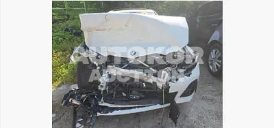 2019, BMW / 330, 110000 км., gas, 2000 куб.см.