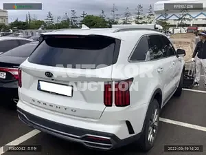 2020, Kia / Sorento, VIN: KNARH81BGMA047834, diesel