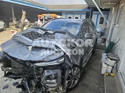 2020, Hyundai / Santa FE, VIN: KMHS281BBLU190609, diesel