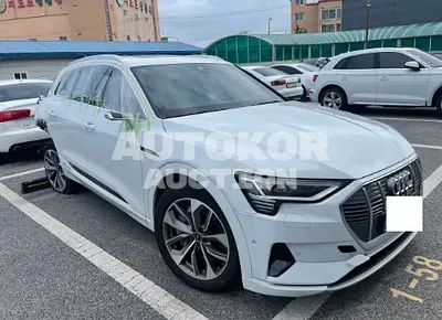 2021, Audi / e-tron, VIN: WAUZZZGE4MB043024, electric