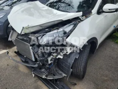 2019, Kia / Sportage, VIN: KNAPL812GKK565456, diesel