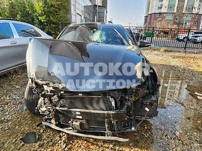 2019, Audi / A5, VIN: KNAGW411BKA338920, gas