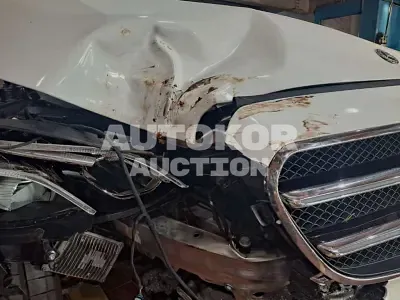 2020, Mercedes-Benz / E 250, VIN: W1KZF4FB4LA820107, 12166 км., gas