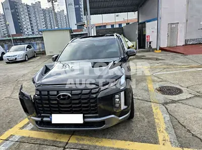 2024, Hyundai / Palisade, gas, 3800 куб.см.