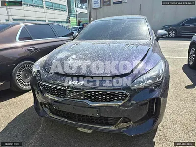 2023, Kia / Stinger, VIN: KNAE351DBPS137319, gas