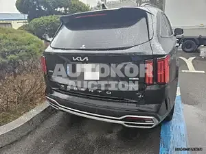 2022, Kia / Sorento, VIN: KNARL81GDNA106880, 25000 км., gas