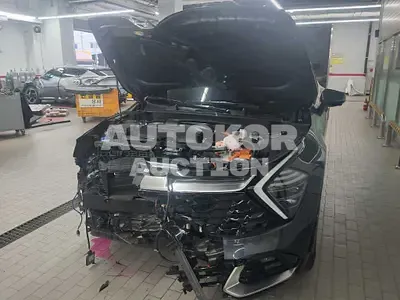2024, Kia / Sportage, VIN: KNAPX81GBRK103630, 8452 км., hybrid