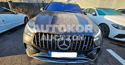 2025, Mercedes-Benz / gle450, gas