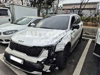2024, Kia / Sorento, VIN: KNARK81GBSA347325, hybrid, 1598 куб.см.