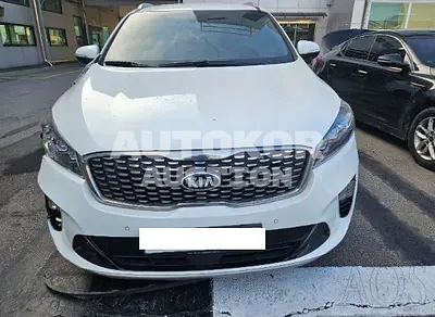 2019, Kia / Sorento, VIN: KNAPH81ABKA510034, 96955 км., diesel
