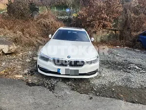 2020, BMW / 520, diesel