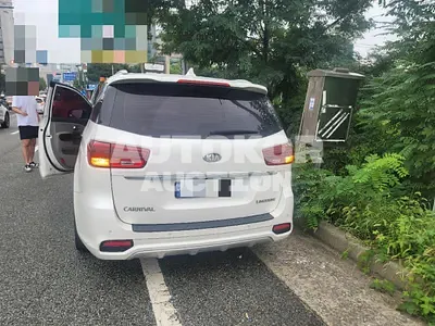 2019, Kia / Carnival, diesel