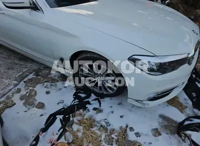2020, BMW / 520, VIN: WBAJK9104LCD22547, 71824 км., gas