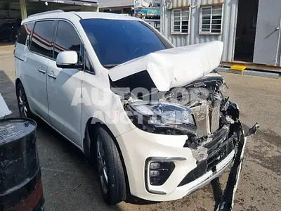 2019, Kia / Carnival, VIN: KNAMB81ABKS566110, 96912 км., diesel