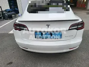2021, Tesla / Model 3, electric, 236 куб.см.