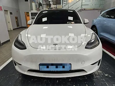 2024, Tesla / Model Y, 56059 км., electric