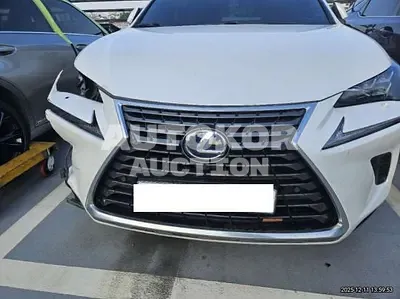 2020, Lexus / nx300h, 113138 км., hybrid