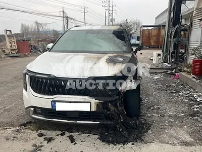 2024, Kia / Carnival, hybrid, 1598 куб.см.