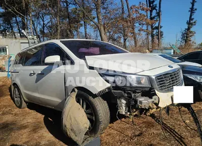 2016, Kia / Carnival, VIN: KNAME81ABGS232934, diesel