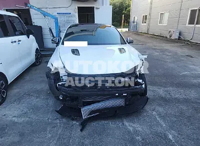2021, Kia / Stinger, VIN: KNAE551CDMS098940, gas