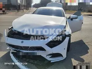 2019, Mercedes-Benz / CLS 300, VIN: WDD2J1JB3KA033847, diesel