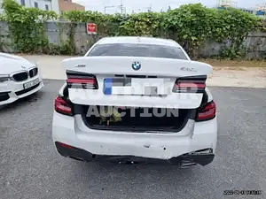 2021, BMW / 530, VIN: WBA31BJ06MWX16003, 13138 км., gas