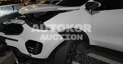 2016, Kia / Sportage, VIN: KNAPN813BGK089371, diesel