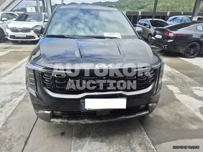 2025, Kia / Carnival, VIN: KNANE81BBSS588235, 2394 км., diesel