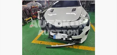 2018, Kia / Stinger, 118287 км., gas, 3342 куб.см.