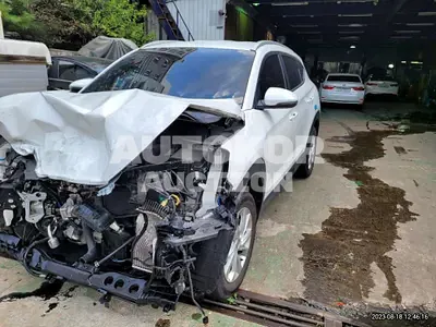 2019, Hyundai / Tucson, VIN: KMHJ381ABKU091545, diesel