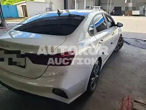 2021, BMW / Z1, VIN: KNAF241BENA927630, 46530 км., gas