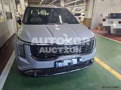 2024, Kia / Carnival, 21972 км., hybrid, 1600 куб.см.