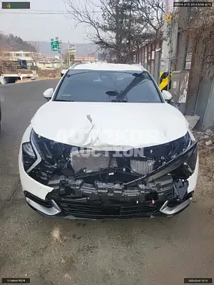 2021, Kia / Sportage, VIN: KNAPY81BGNK031305, gas
