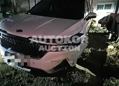 2020, Kia / Carnival, diesel, 2200 куб.см.