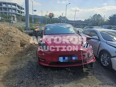 2021, Tesla / Model Y, 132070 км., electric