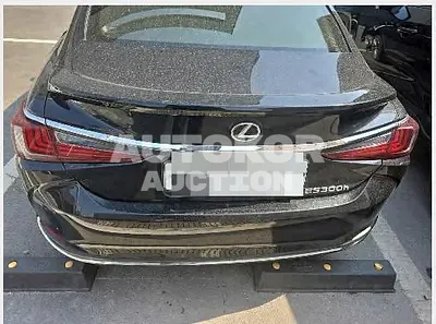 2023, Lexus / ES 300, hybrid, 2487 куб.см.