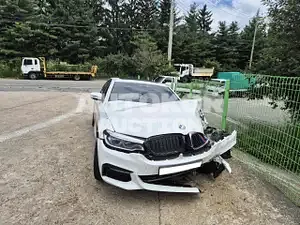 2017, BMW / 530, VIN: WBAJD9101HWC10529, gas