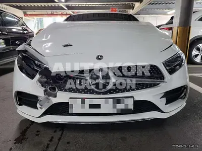 2019, Mercedes-Benz / CLS 300, 100257 км., diesel
