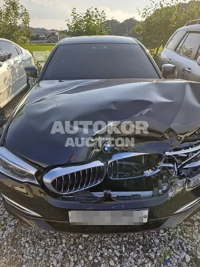 2019, BMW / 530, 90930 км., gas, 1998 куб.см.