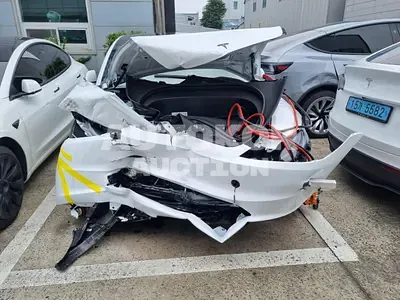 2026, Tesla / Model 3, VIN: LRW3E7FS0TC835533, 1231 км., electric, 1 куб.см.