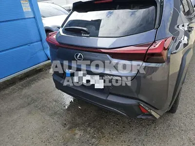 2025, Lexus / ux300h, 30000 км., hybrid