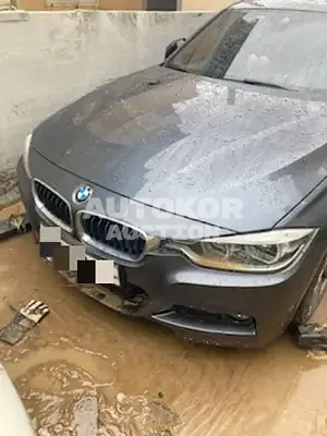 2018, BMW / 320, VIN: WBA8C5100J5L45908, diesel