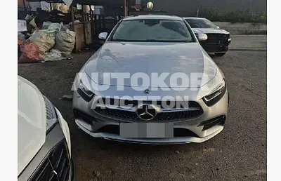2019, Mercedes-Benz / CLS 300, 90180 км., diesel, 1950 куб.см.