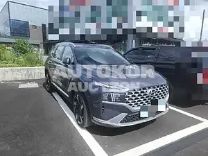 2021, Hyundai / Santa FE, VIN: 2KMHS381HGMU39633, diesel, 2151 куб.см.