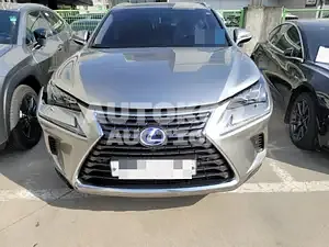 2017, Lexus / NX 300, VIN: JTJBJRBZ4J2079570, 80000 км., hybrid, 2494 куб.см.