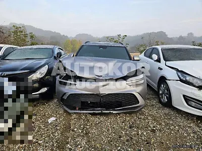 2021, Hyundai / Genesis, 73833 км., electric
