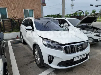 2019, Kia / Sorento, VIN: KNAPS81ABKA487875, diesel