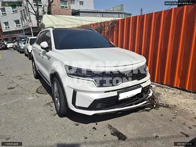 2020, Kia / Sorento, VIN: KNARF81BGMA052449, 248504 км., diesel