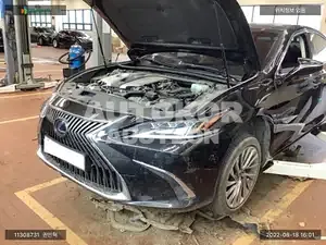 2020, Lexus / ES 300, VIN: JTHB21B18L2093985, hybrid