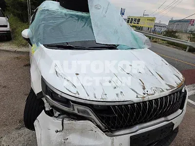 2022, Kia / Carnival, VIN: KNANC81BBNS190433, 46095 км., diesel